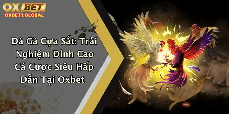 Đá Gà Cựa Sắt: Trải Nghiệm Đỉnh Cao Cá Cược Siêu Hấp Dẫn Tại Oxbet 2 Đá Gà Cựa Sắt: Trải Nghiệm Đỉnh Cao Cá Cược Siêu Hấp Dẫn Tại Oxbet