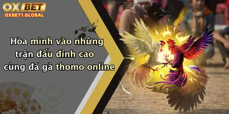 Đá Gà Thomo: Trải Nghiệm Cược Đỉnh Cao Cùng Nhà Cái Oxbet Uy Tín 3 Hòa mình vào những trận đấu đỉnh cao cùng đá gà thomo online