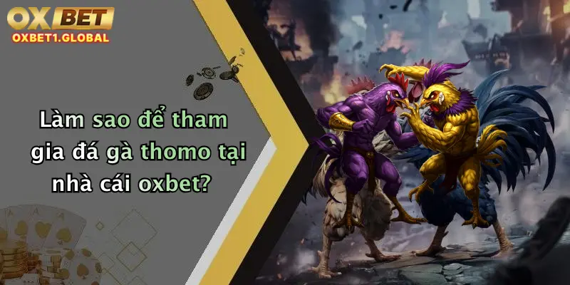 Đá Gà Thomo: Trải Nghiệm Cược Đỉnh Cao Cùng Nhà Cái Oxbet Uy Tín 4 Làm sao để tham gia đá gà thomo tại nhà cái oxbet?