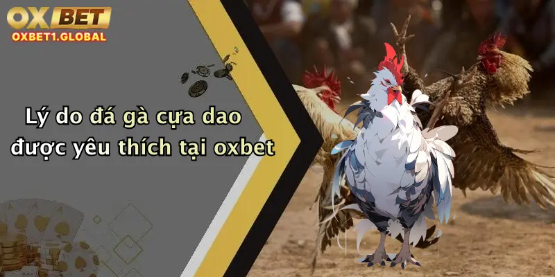 Đá Gà Cựa Dao: Trải Nghiệm Đỉnh Cao Cá Cược Hấp Dẫn Tại Oxbet 4 Lý do đá gà cựa dao được yêu thích tại oxbet