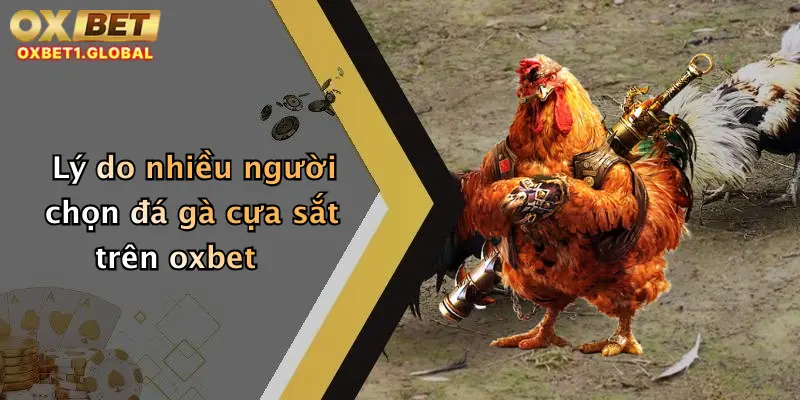 Đá Gà Cựa Sắt: Trải Nghiệm Đỉnh Cao Cá Cược Siêu Hấp Dẫn Tại Oxbet 1 Lý do nhiều người chọn đá gà cựa sắt trên oxbet