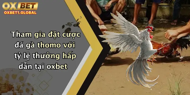 Đá Gà Thomo: Trải Nghiệm Cược Đỉnh Cao Cùng Nhà Cái Oxbet Uy Tín 2 Tham gia đặt cược đá gà thomo với tỷ lệ thưởng hấp dẫn tại oxbet