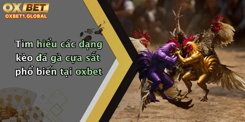 Đá Gà Cựa Sắt: Trải Nghiệm Đỉnh Cao Cá Cược Siêu Hấp Dẫn Tại Oxbet 4 Tìm hiểu các dạng kèo đá gà cựa sắt phổ biến tại oxbet